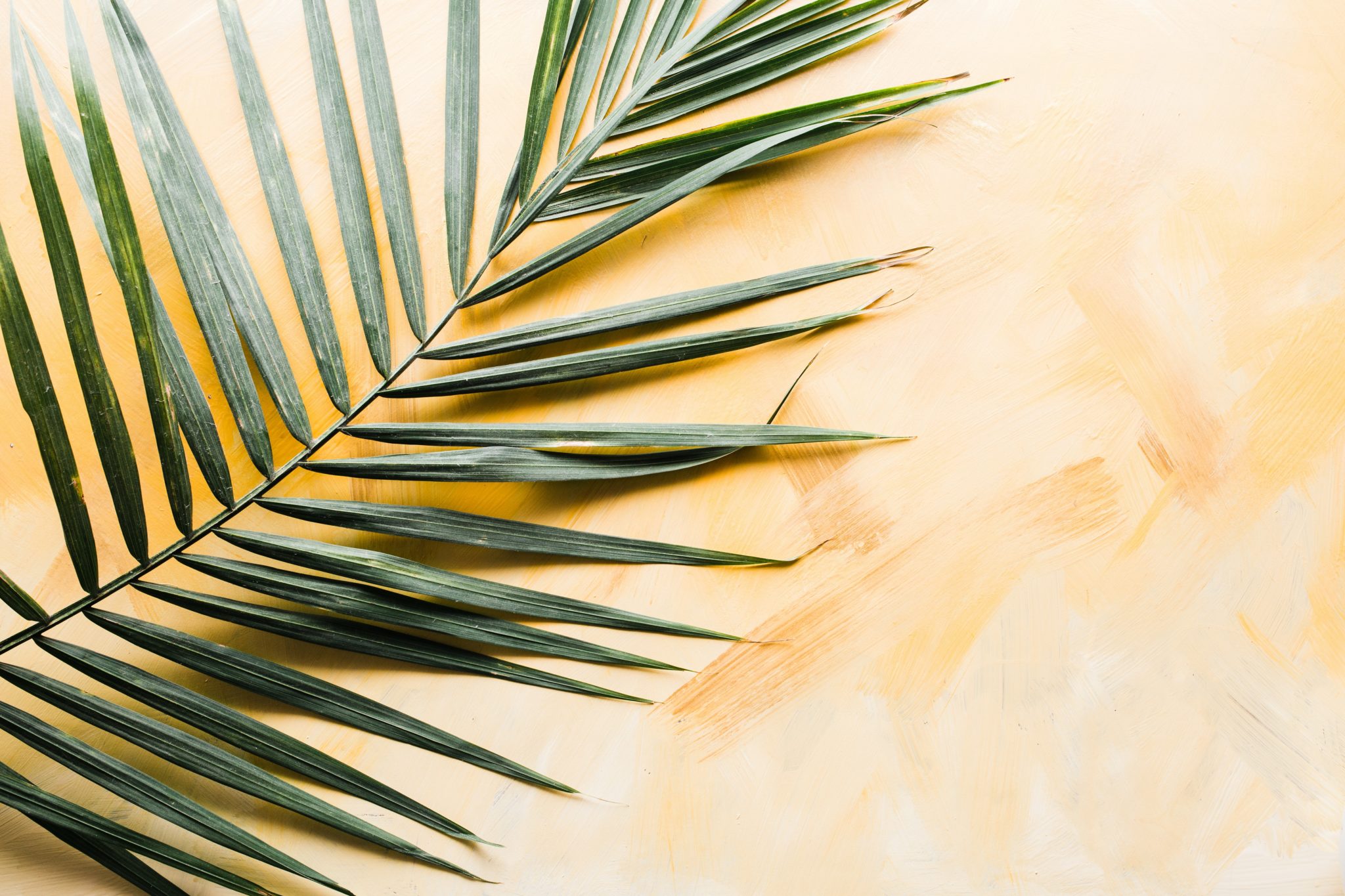 Brooke Lark 7rIsBSxhiXM Unsplash Brooke Lark 7rIsBSxhiXM Unsplash